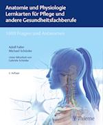 Anatomie und Physiologie Lernkarten für Pflege und andere Gesundheitsfachberufe