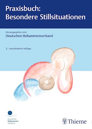 Praxisbuch: Besondere Stillsituationen