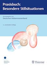 Praxisbuch: Besondere Stillsituationen