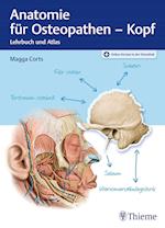 Anatomie für Osteopathen - Kopf