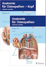Set Anatomie für Osteopathen