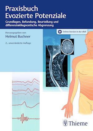 Praxisbuch Evozierte Potenziale