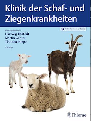 Klinik der Schaf- und Ziegenkrankheiten