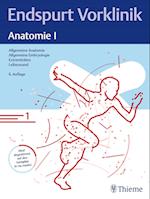 Endspurt Vorklinik: Anatomie I