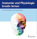 Anatomie und Physiologie kreativ lernen für Physiotherapie und Ergotherapie