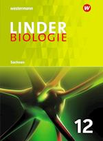 LINDER Biologie SII 12. Schülerband. Sachsen