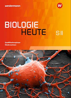 Biologie heute SII. Schülerband Qualifikationsphase. Niedersachsen