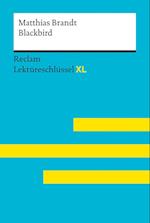 Blackbird von Matthias Brandt: Lektüreschlüssel mit Inhaltsangabe, Interpretation, Prüfungsaufgaben mit Lösungen, Lernglossar. (Reclam Lektüreschlüssel XL)