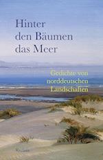 Hinter den Bäumen das Meer