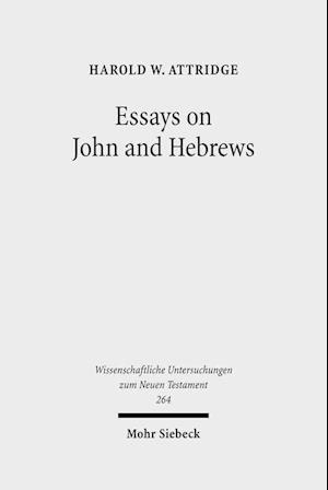 Essays on John and Hebrews