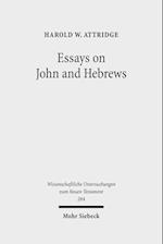 Essays on John and Hebrews