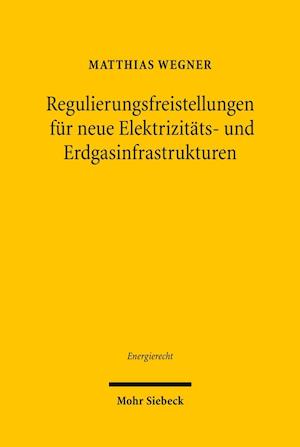 Regulierungsfreistellungen fur neue Elektrizitats- und Erdgasinfrastrukturen