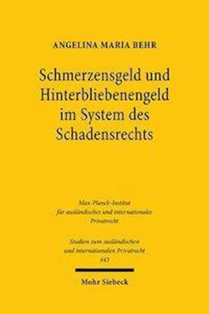 Schmerzensgeld und Hinterbliebenengeld im System des Schadensrechts