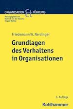 Grundlagen des Verhaltens in Organisationen