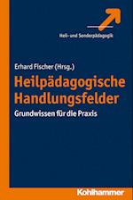 Heilpädagogische Handlungsfelder