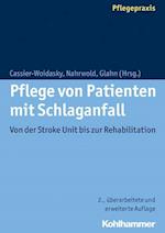 Pflege Von Patienten Mit Schlaganfall