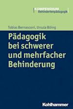 Padagogik Bei Schwerer Und Mehrfacher Behinderung