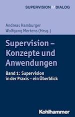 Supervision - Konzepte und Anwendungen