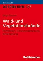 Wald- und Vegetationsbrände