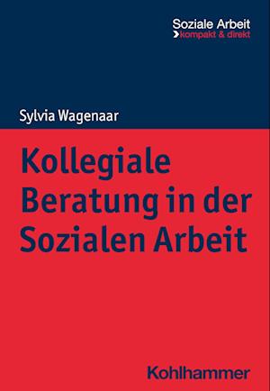 Kollegiale Beratung in der Sozialen Arbeit