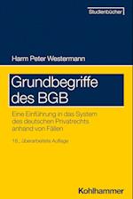 Grundbegriffe Des Bgb