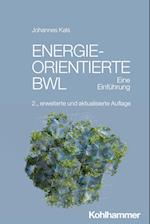 Energieorientierte BWL