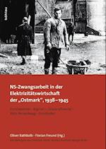 Ns-Zwangsarbeit in Der Elektrizitatswirtschaft Der Ostmark, 1938-1945