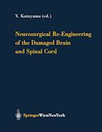 Neurosurgical Re-Engineering of the Damaged Brain and Spinal Cord