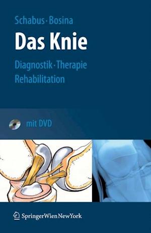 Das Knie