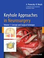 Keyhole Approaches in Neurosurgery