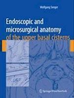 Endoscopic and microsurgical anatomy of the upper basal cisterns