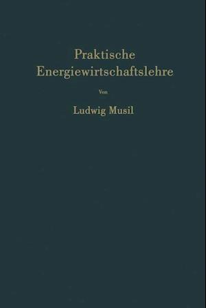 Praktische Energiewirtschaftslehre