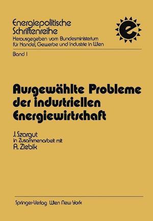 Ausgewählte Probleme der industriellen Energiewirtschaft