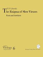 The Enigma of Slow Viruses