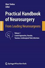 Practical Handbook of Neurosurgery