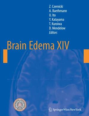 Brain Edema XIV