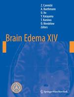 Brain Edema XIV