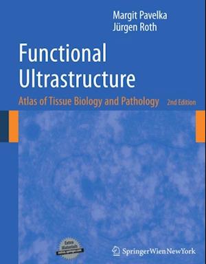 Functional Ultrastructure