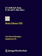 Brain Edema XIII