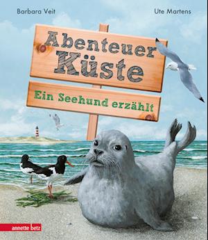 Abenteuer Küste