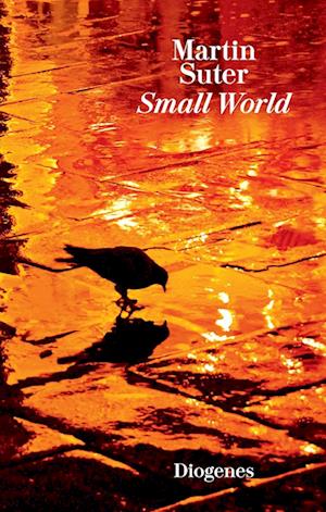 Defekt dyr Produktiv Få Small World af Martin Suter som Hardback bog på tysk - 9783257261196