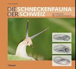 Die Schneckenfauna der Schweiz