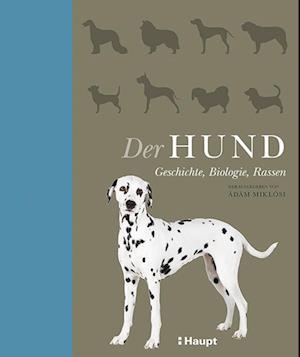 Der Hund