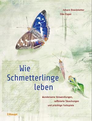 Wie Schmetterlinge leben