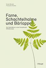 Farne, Schachtelhalme und Bärlappe