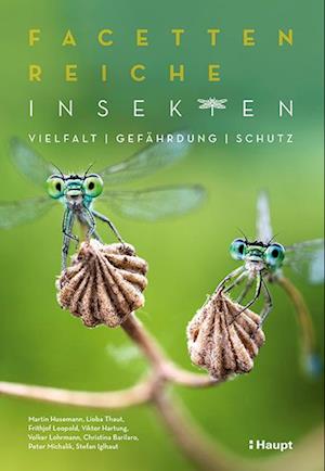 Facettenreiche Insekten