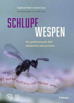 Schlupfwespen