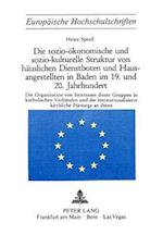 Die Sozio-Oekonomische Und Sozio-Kulturelle Struktur Von Haeuslichen Dienstboten Und Hausangestellten in Baden Im 19. Und 20. Jahrhundert