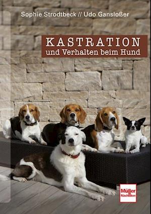 Villig I navnet sagtmodighed Få Kastration und Verhalten beim Hund - Eine Entscheidungshilfe af Udo  Gansloßer som Hardback bog på tysk
