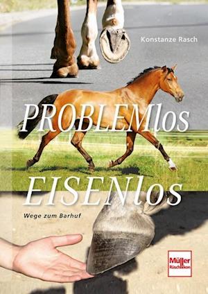 Problemlos Eisenlos